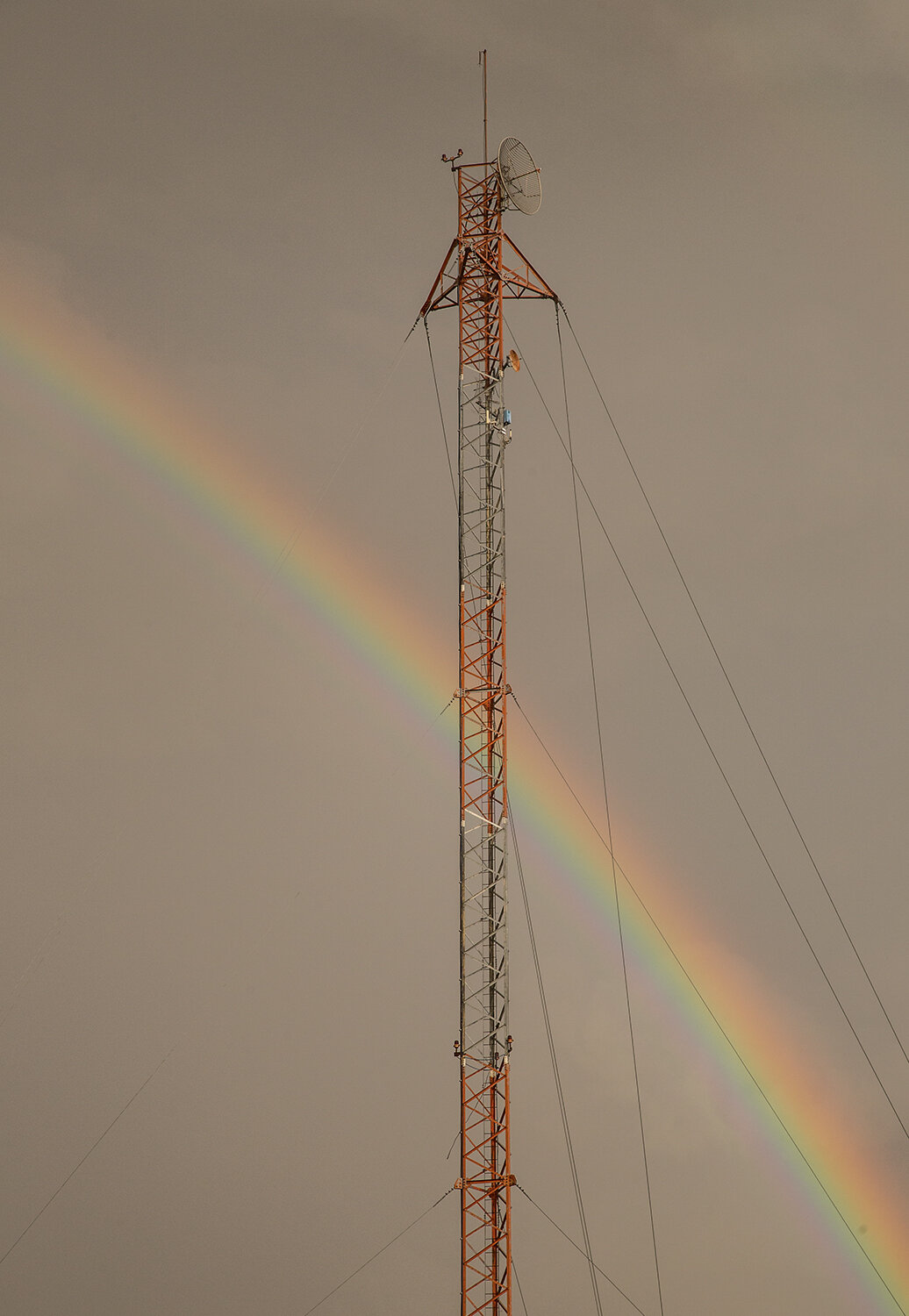 Photo #14037218