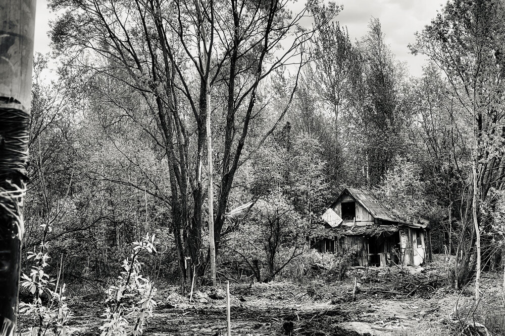 Photograph by Олег Мусин