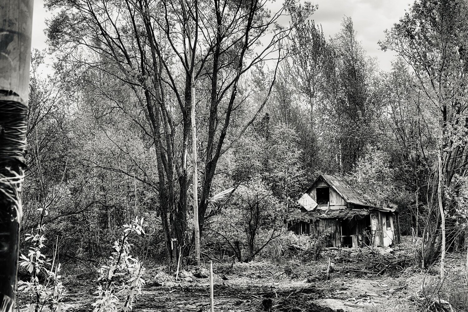 Photo #14037225