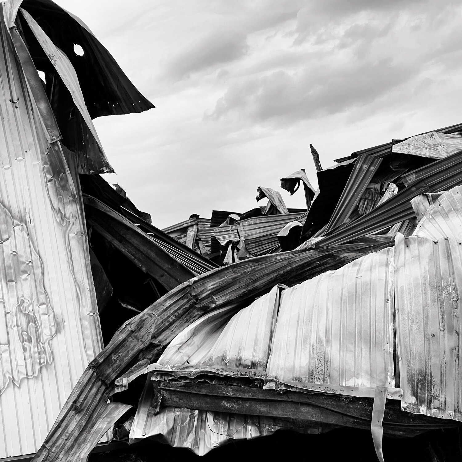 Photo #14037266