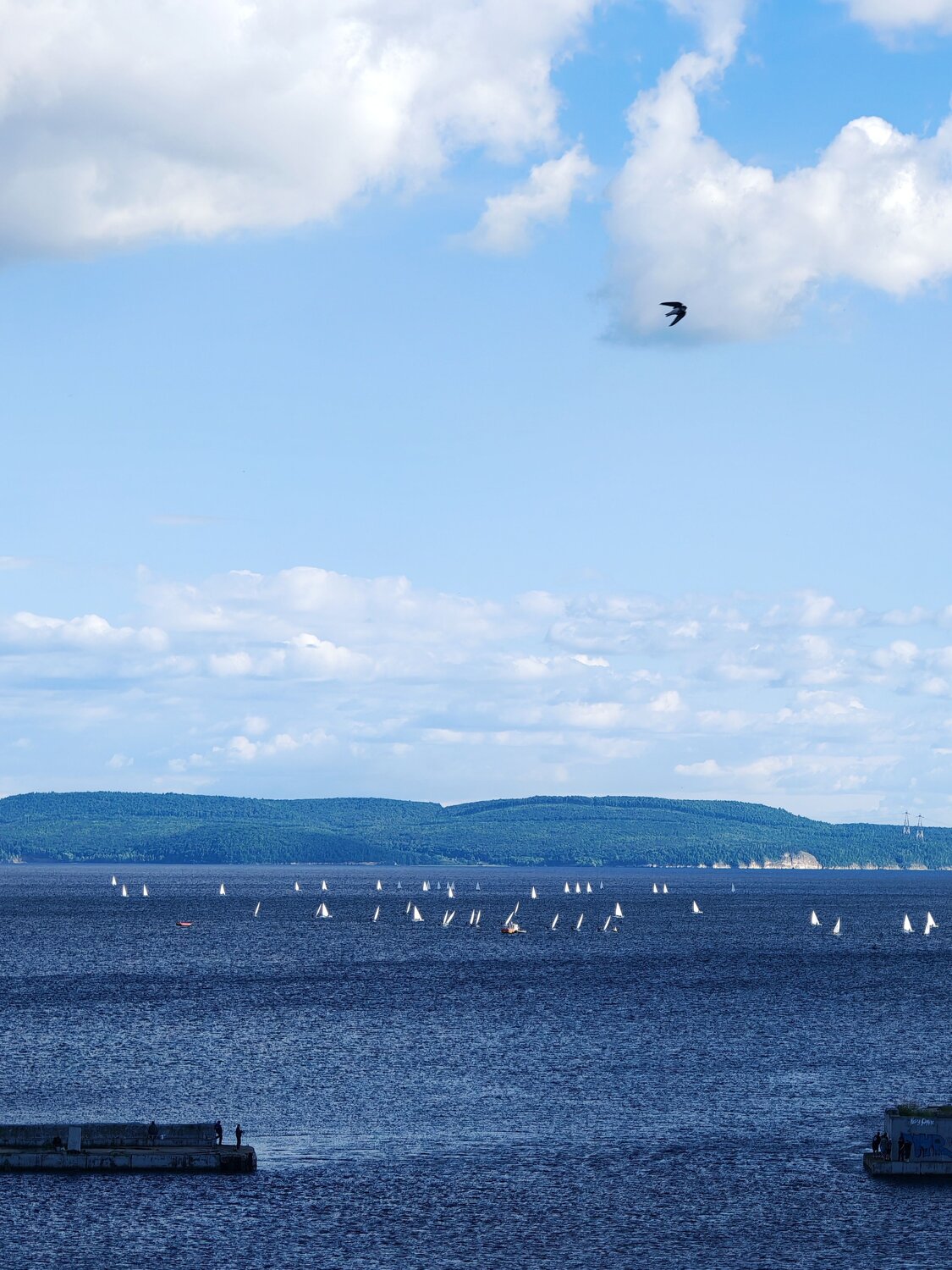 Photo #14037304