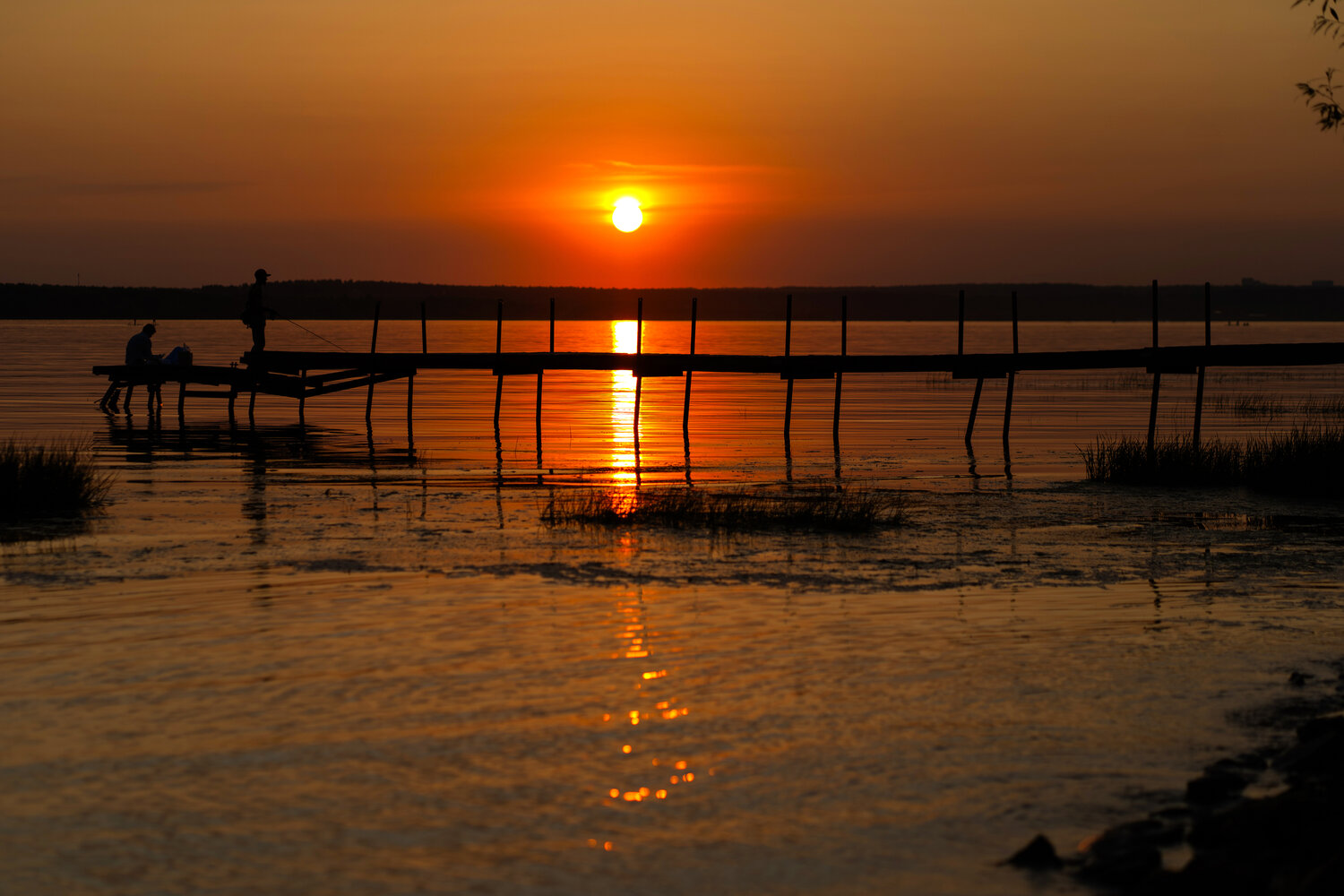 Photo #14037307