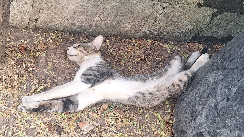 Durmiendo en casa