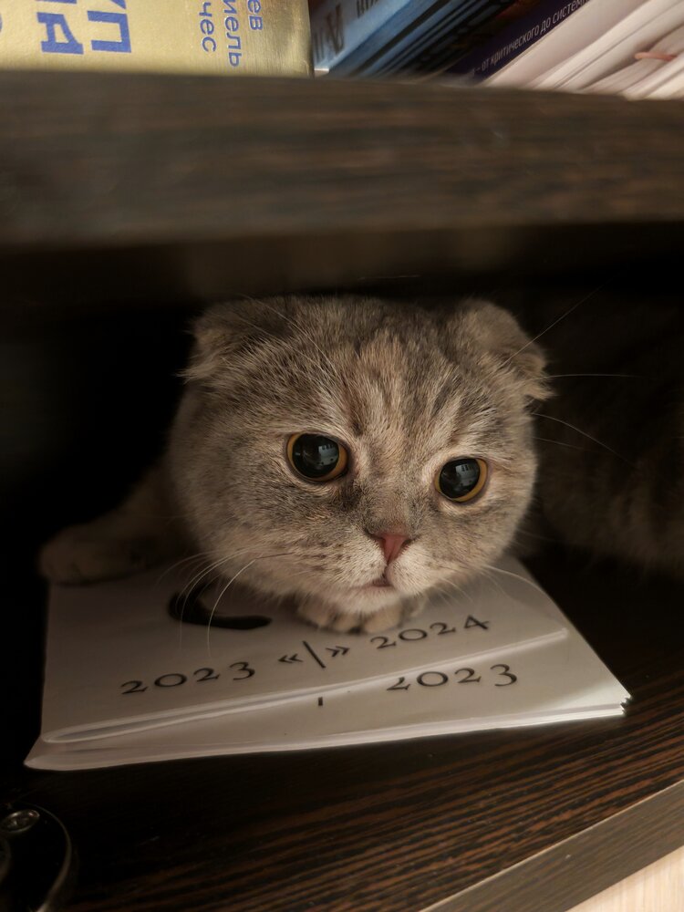 Photograph by Михаил Денисенко