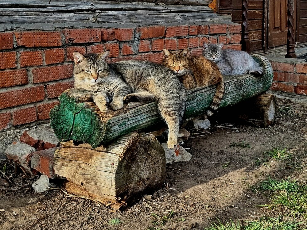 Photograph by Sergey Yurin