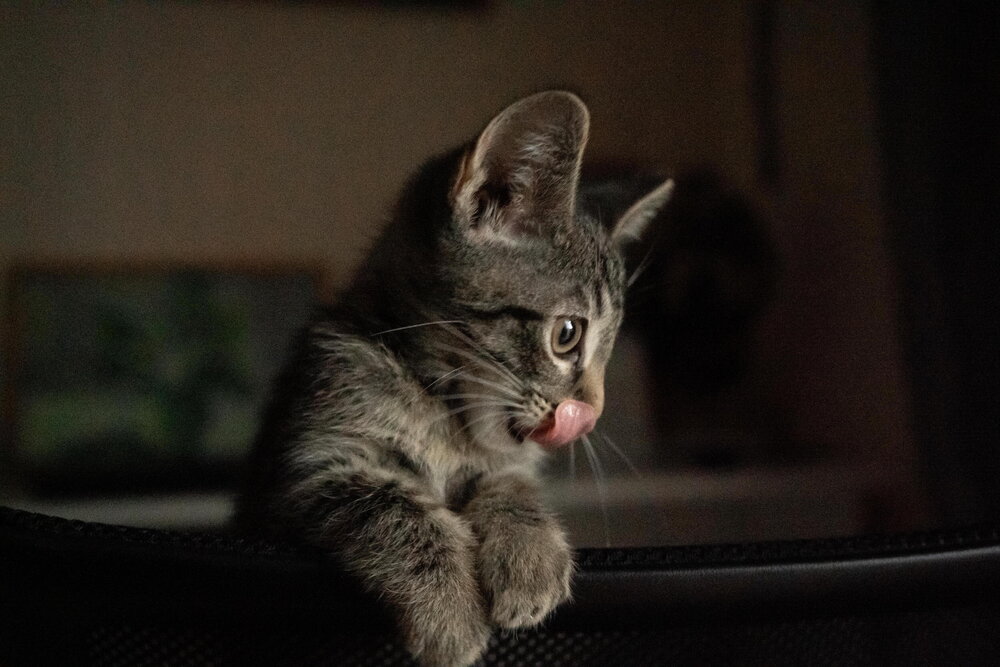 Photograph by Sergey Yurin