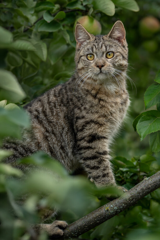 Photograph by Dina Damotseva