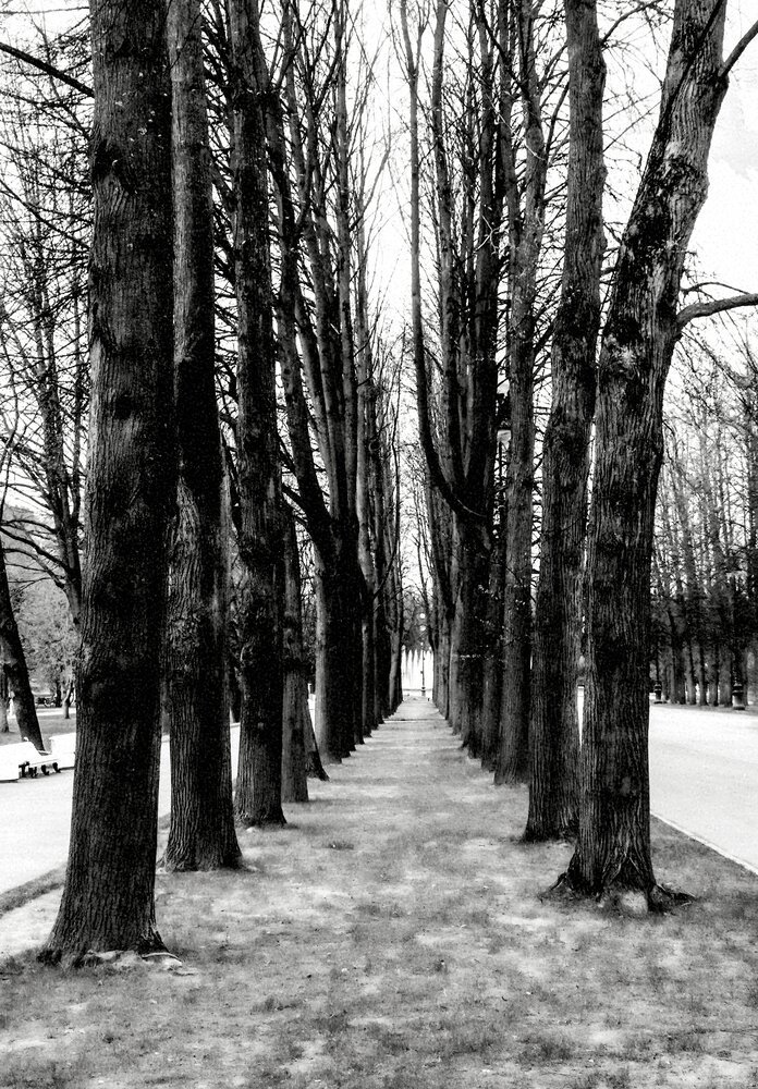 Photograph by Дарья Зуевская