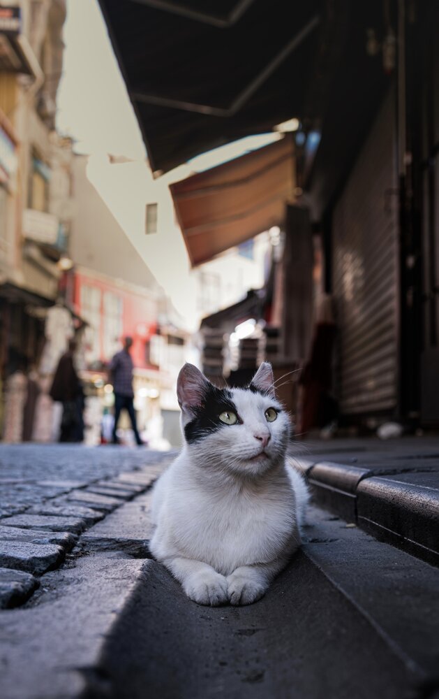 Photograph by Анна Васильева