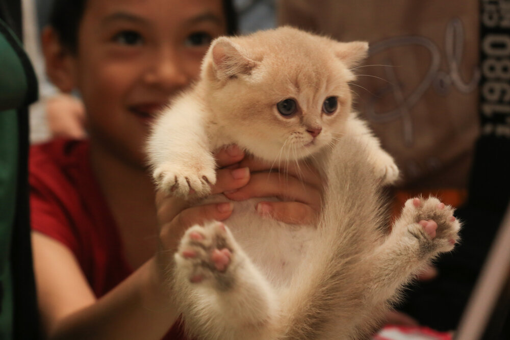 Photograph by Tiêu Sa