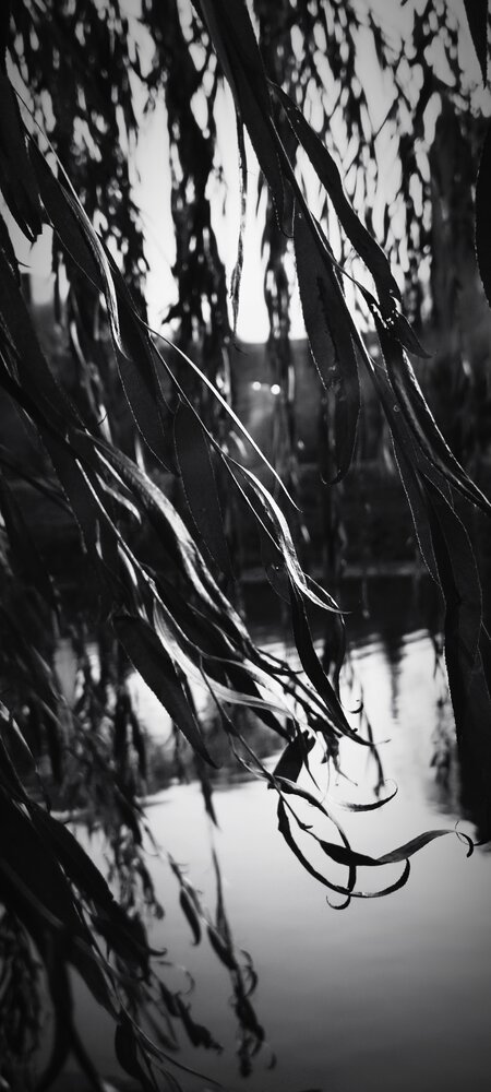 Photograph by Дарья Зуевская