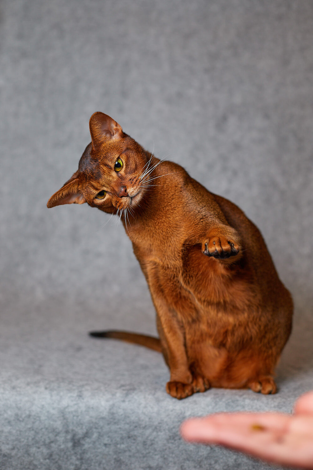 Photo #14037476