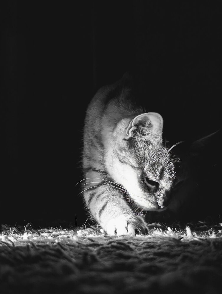 Photograph by Ирина Фиськова