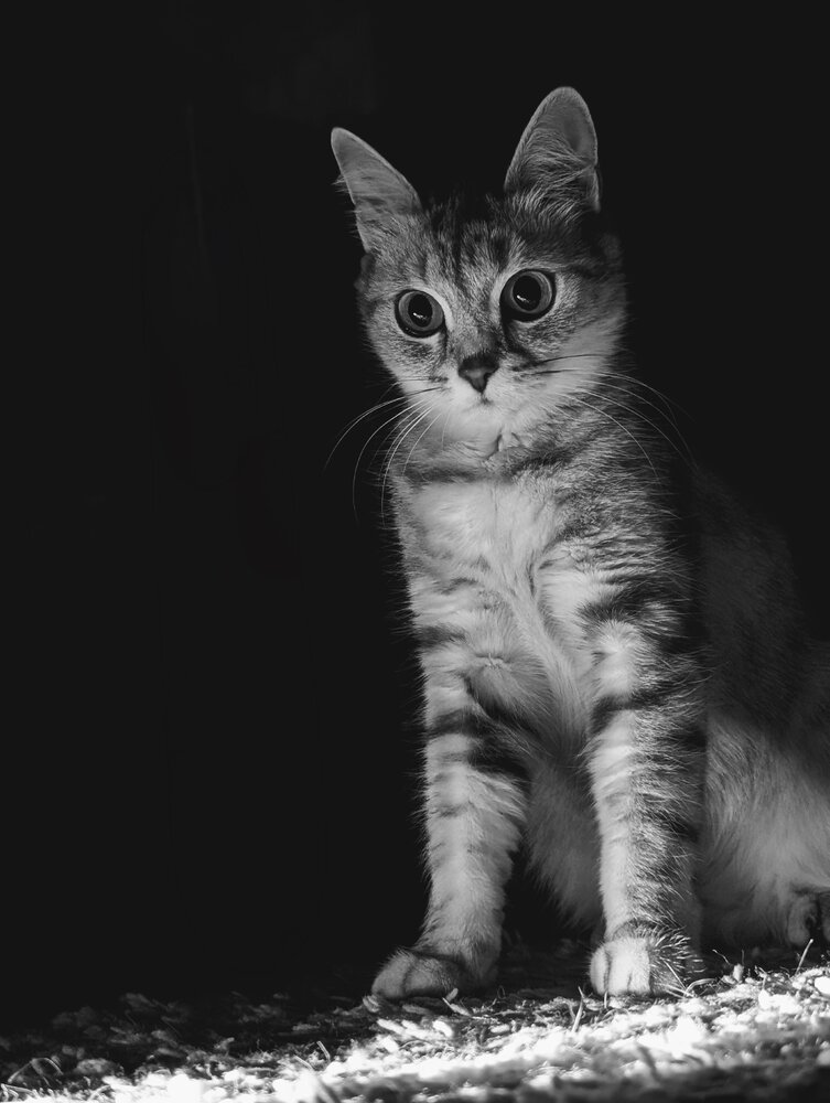 Photograph by Ирина Фиськова
