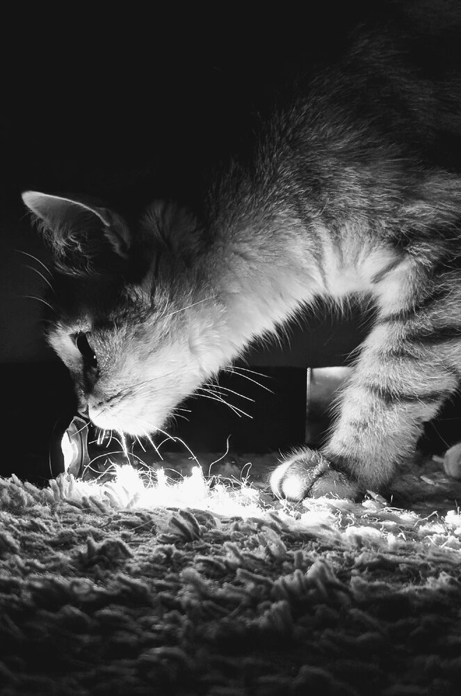 Photograph by Ирина Фиськова