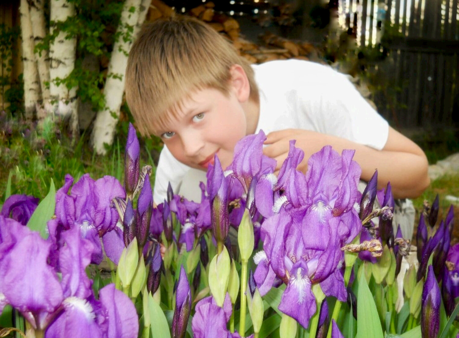 Photo #14037585