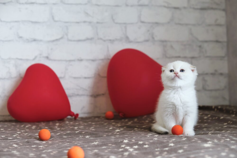 Photograph by Наталия Драгуне