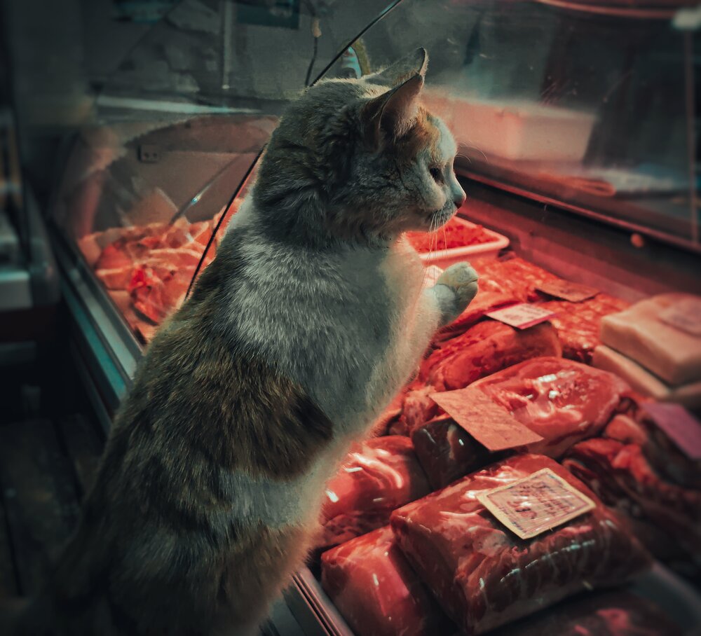 Photograph by Дайана