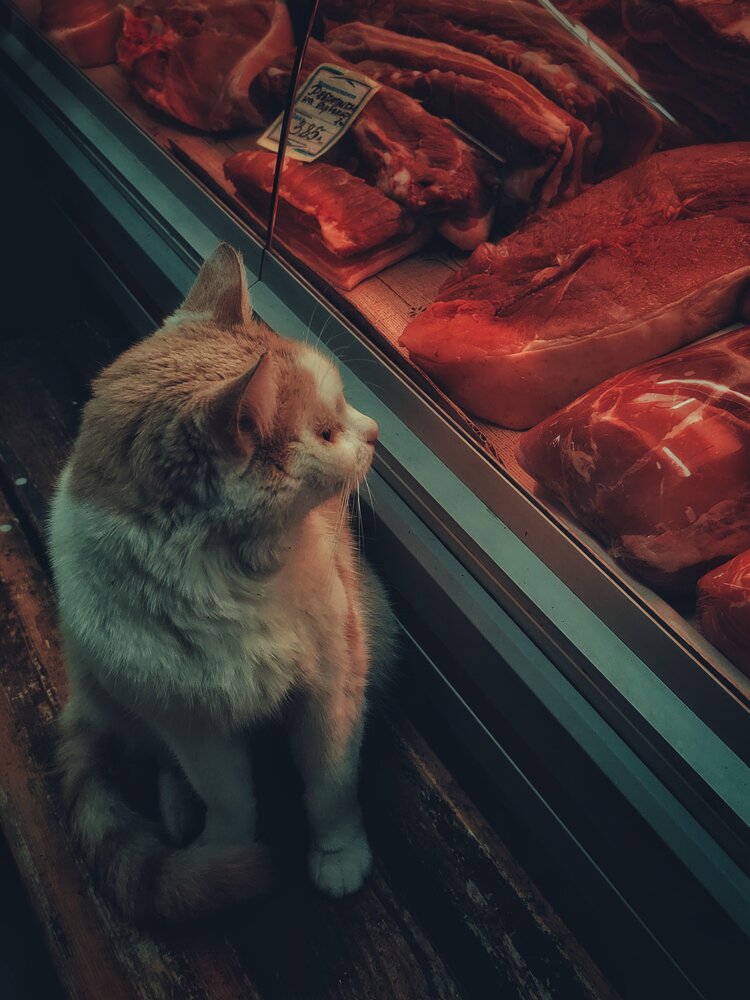 Photograph by Дайана