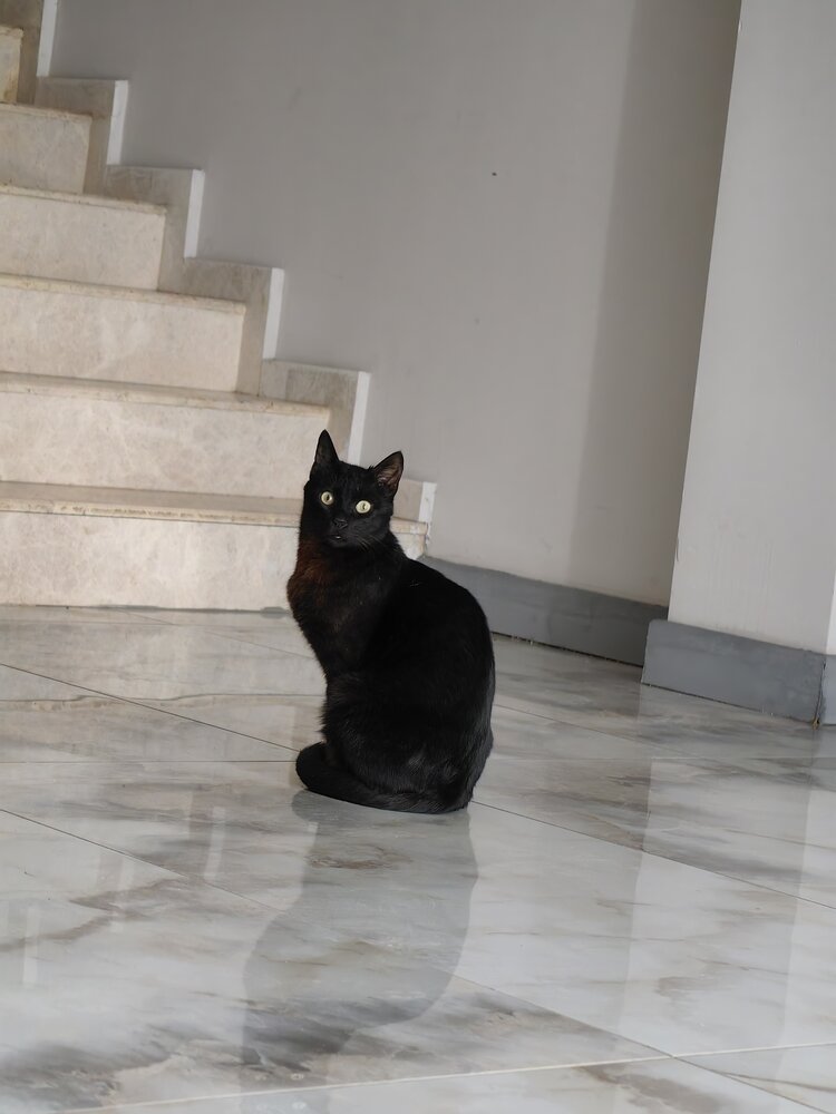 Photograph by Veranika Siratsinina