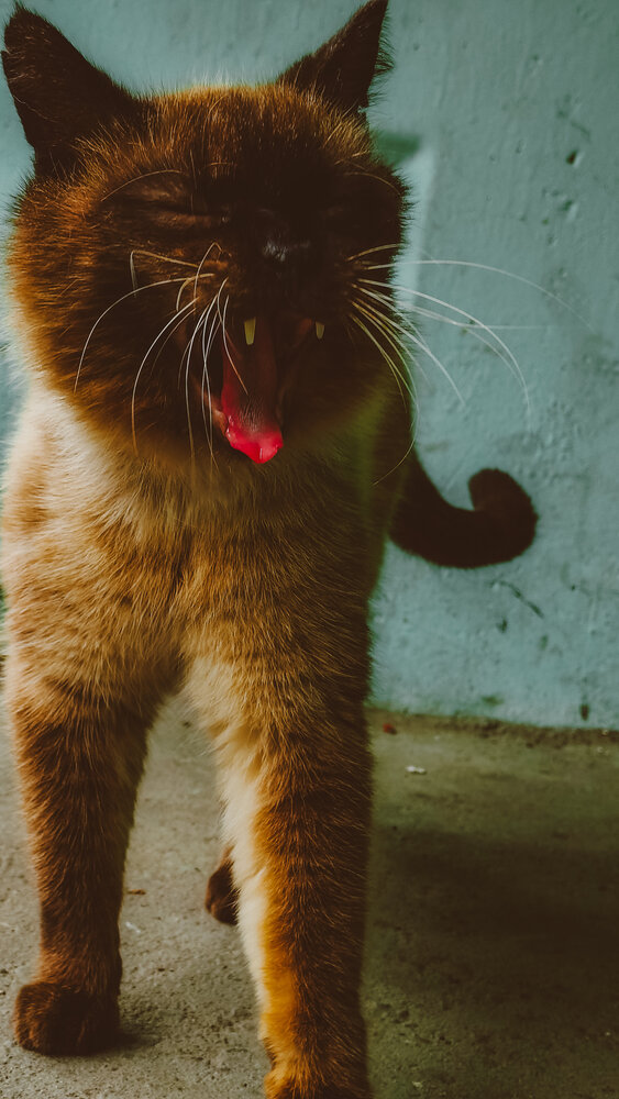 Photograph by Людмила Горячева