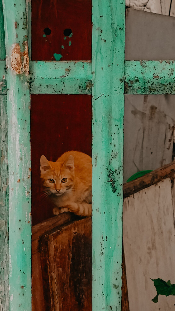 Photograph by Людмила Горячева