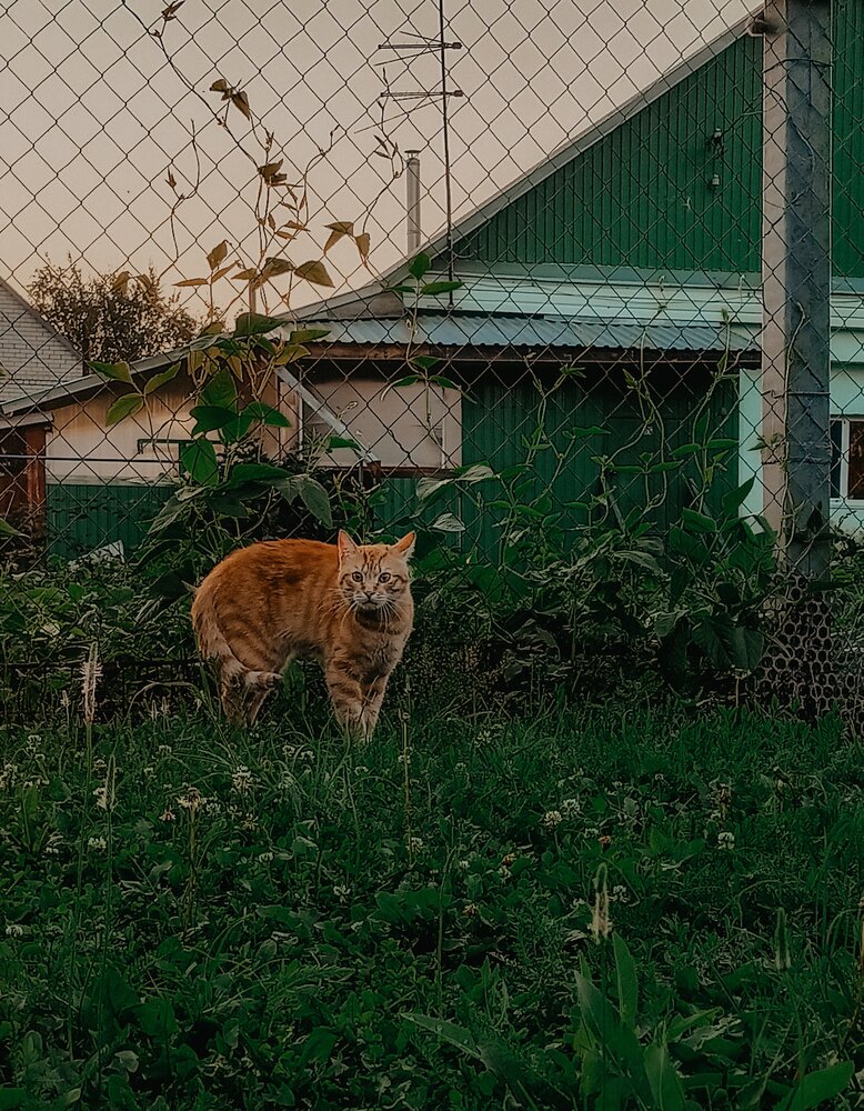 Photograph by Людмила Горячева