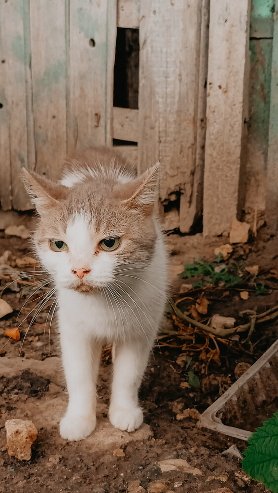 Photograph by Людмила Горячева
