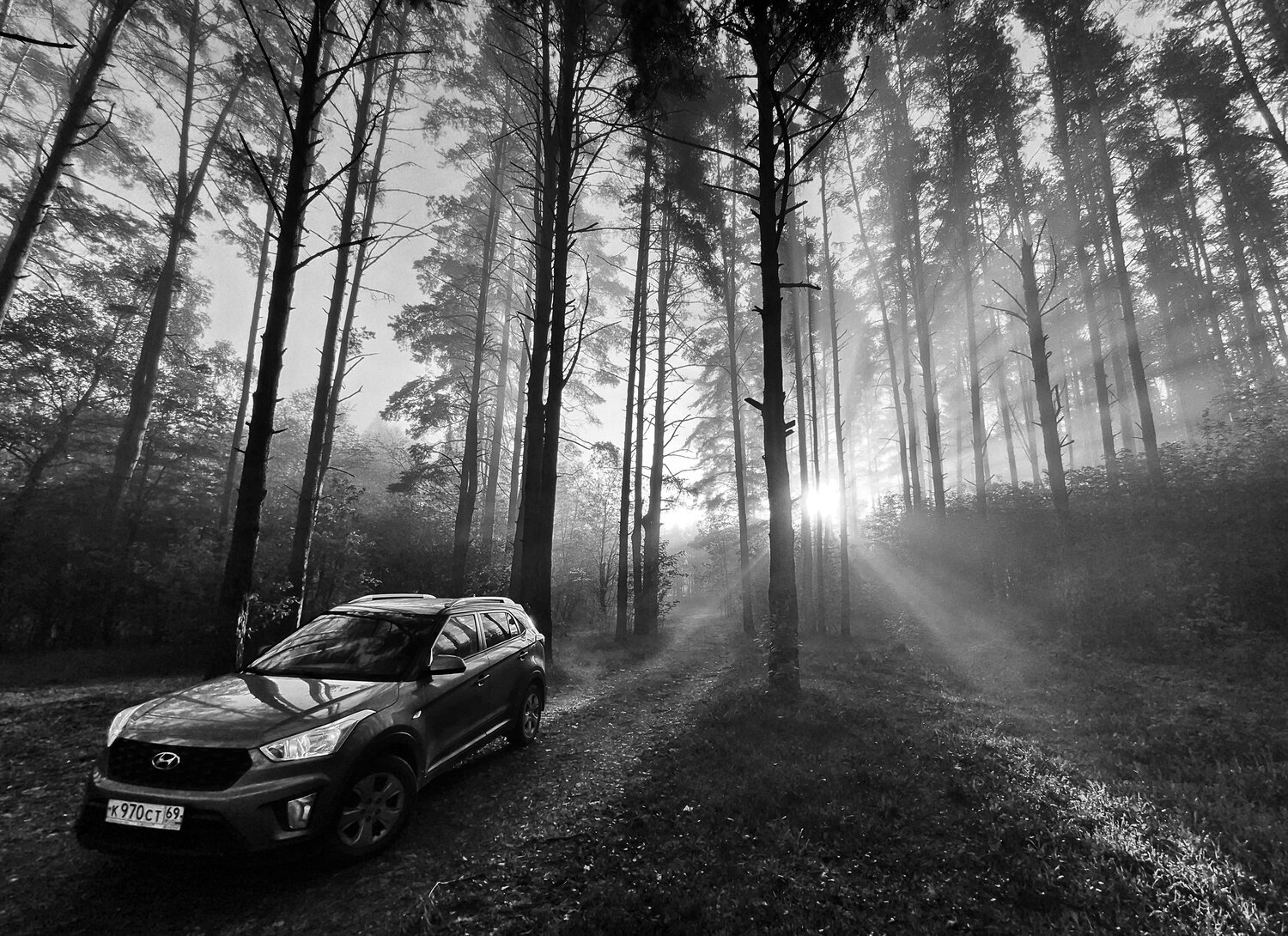 Photo #14037734