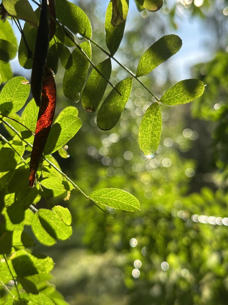 Photograph by Ирина