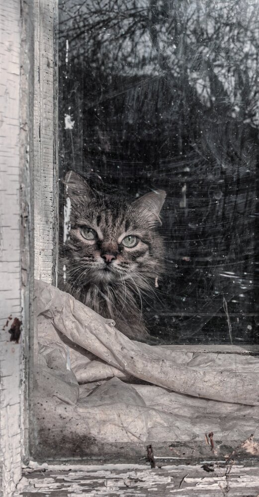 Photograph by Ксанка Севостьянова