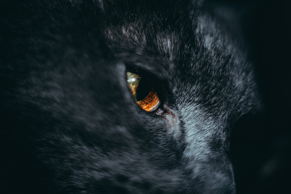 Photograph by Алексей