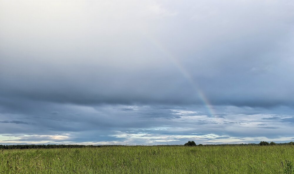 Photograph by Ксанка Севостьянова
