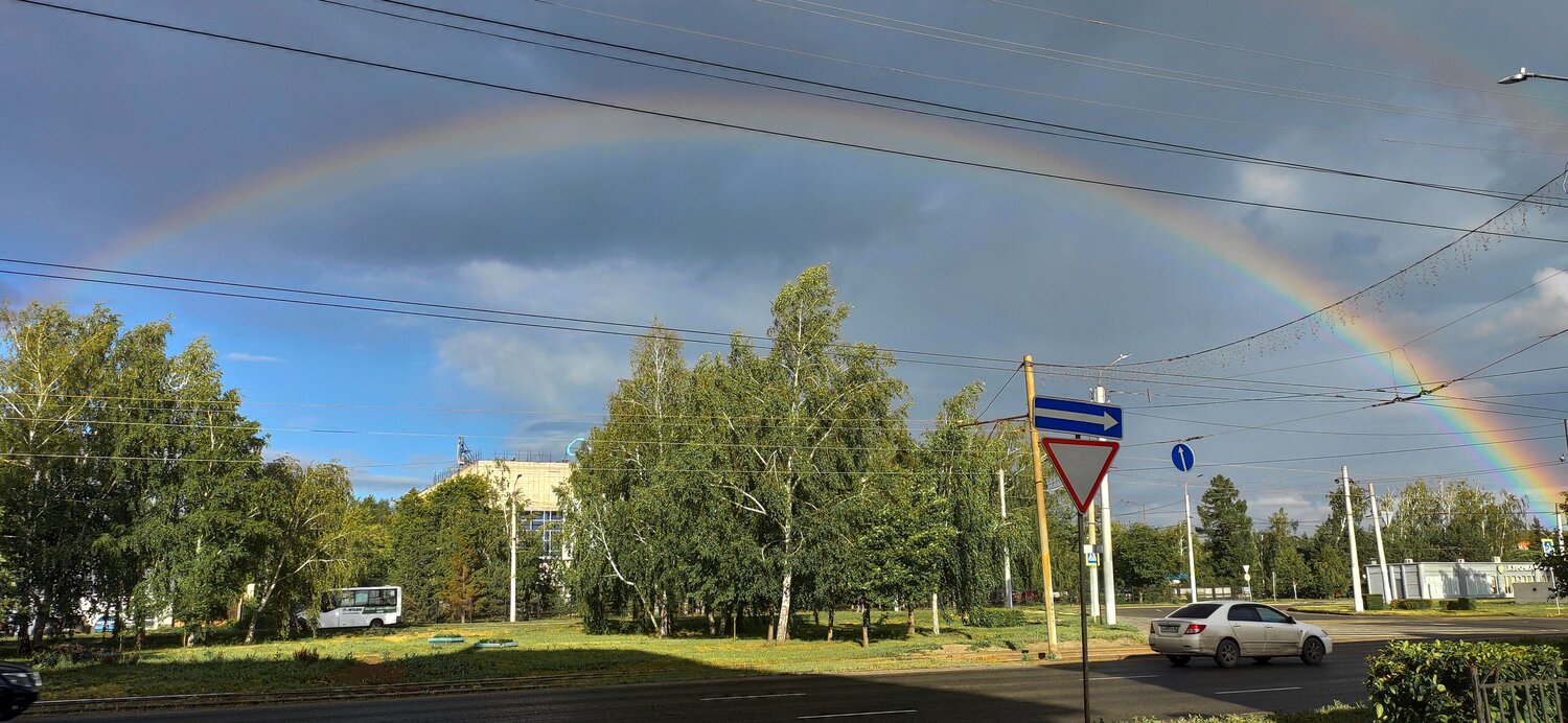 Photo #14037847