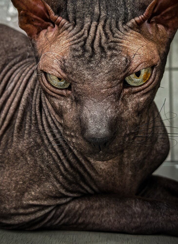 Photograph by Юра Кладухин