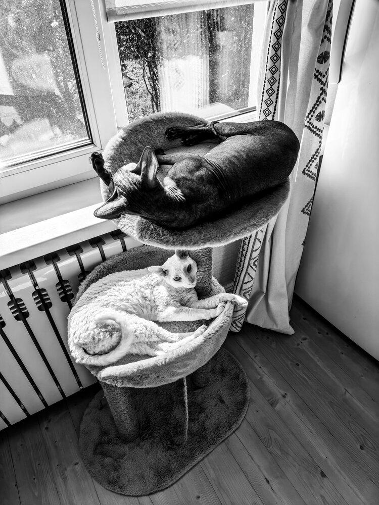 Photograph by Юра Кладухин