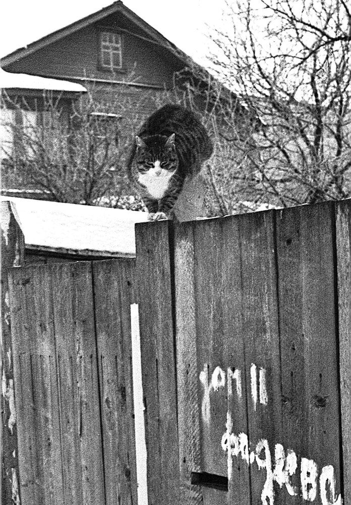 Photograph by Владимир Малёшин