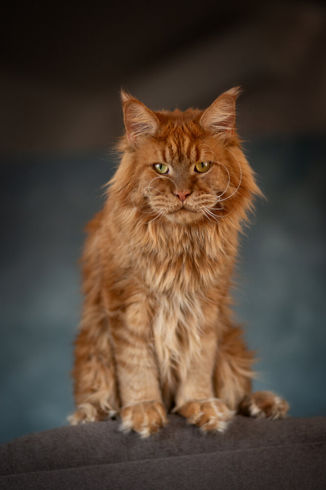 Photograph by Екатерина Смирнова