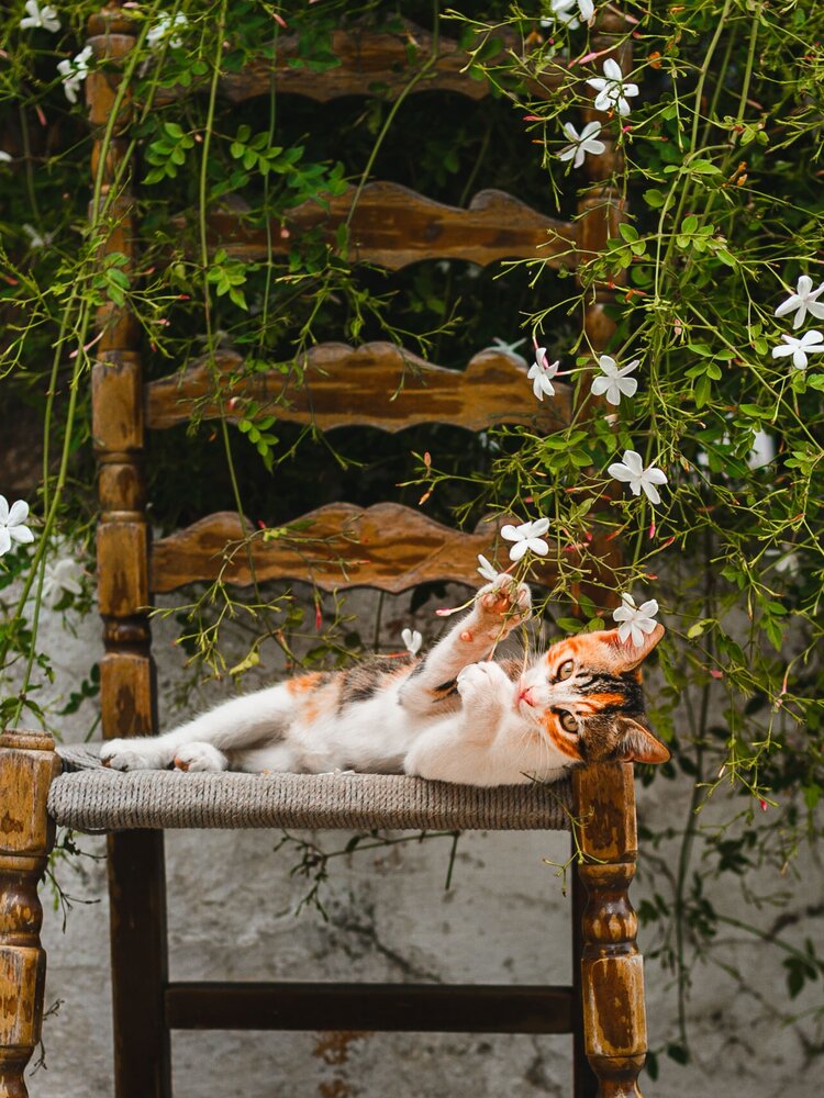 Photograph by Alexandra Sergeeva