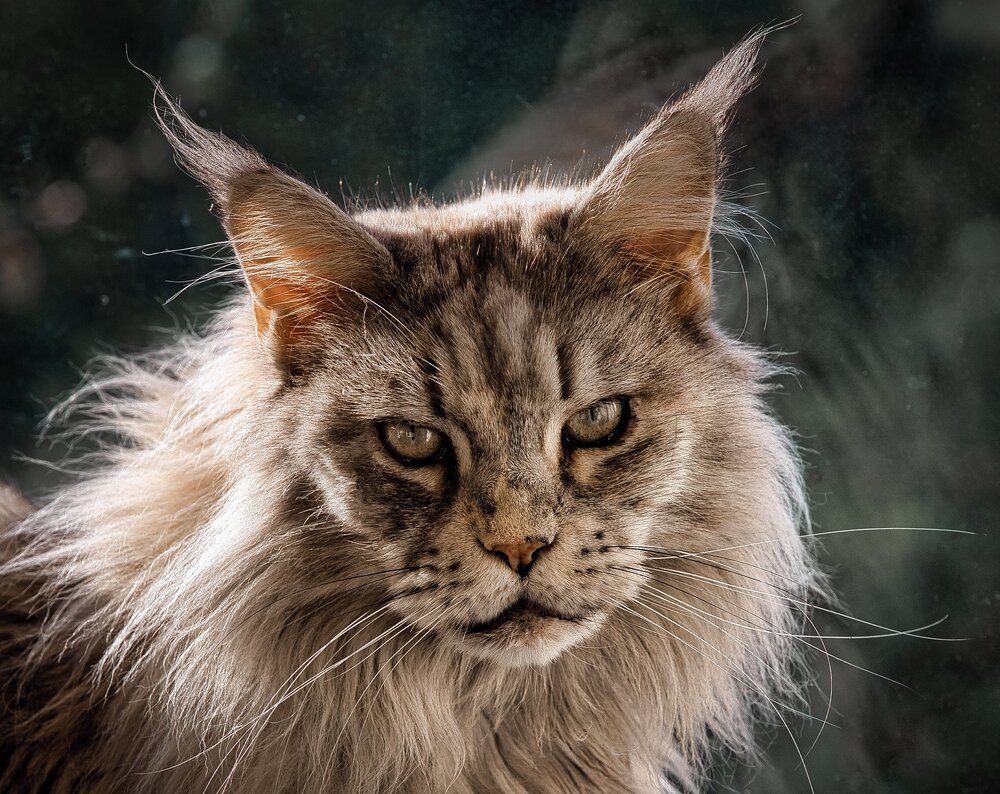 Photograph by Jean Fry