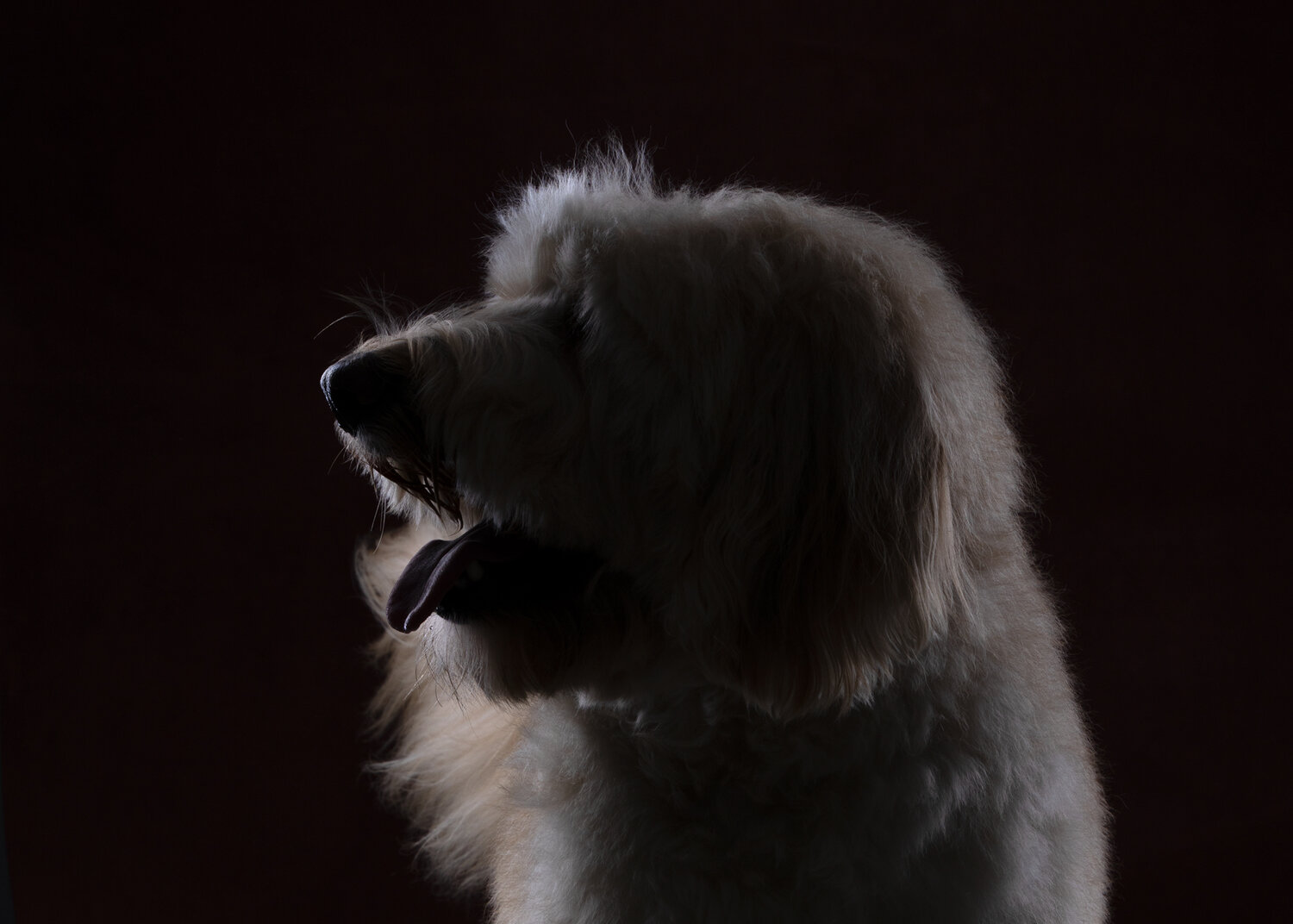 Photo #14038000