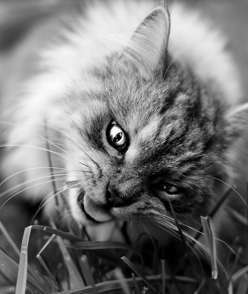 Photograph by Ирина Борисова