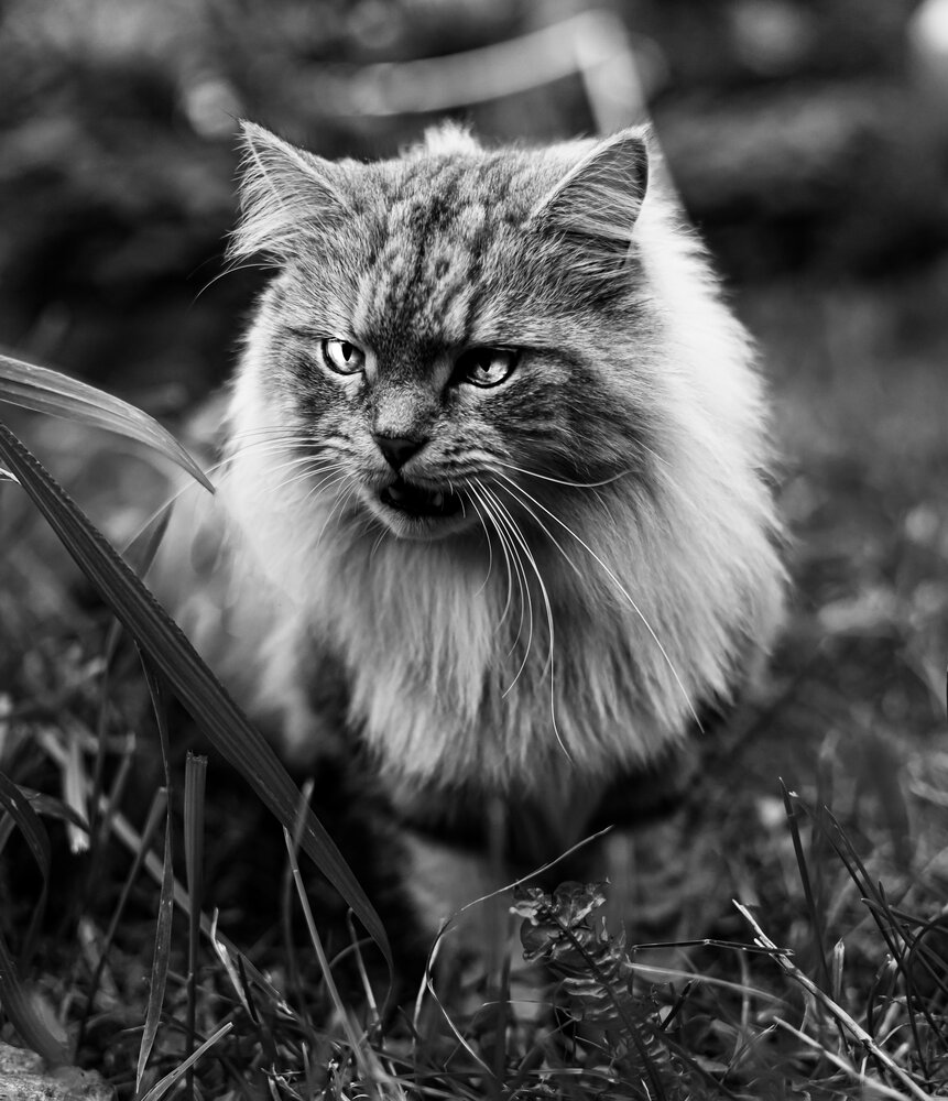 Photograph by Ирина Борисова