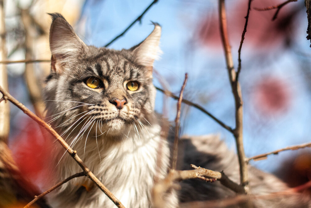 Photograph by Veronika Zatorkina