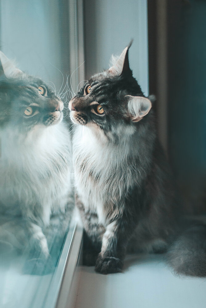 Photograph by Veronika Zatorkina