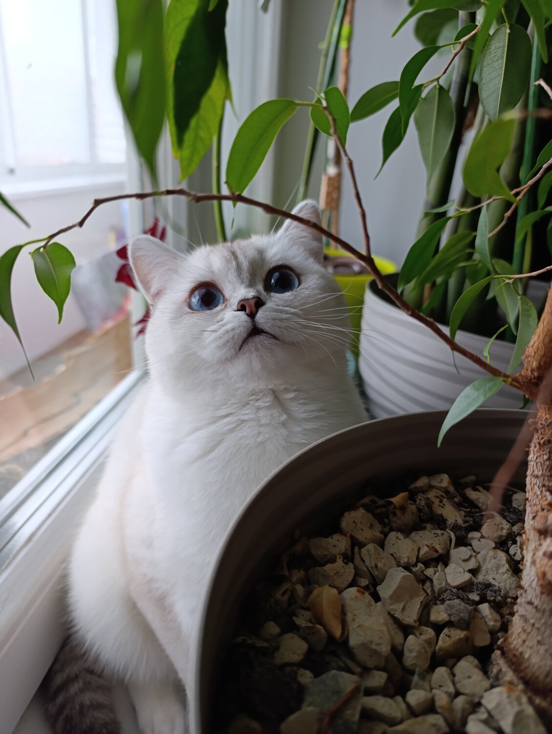 Photo #14038068