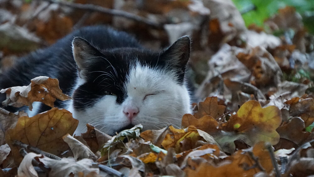 Photograph by сергей мишаков
