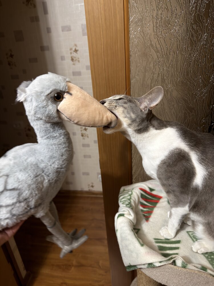 Photograph by Дмитрий Костяков
