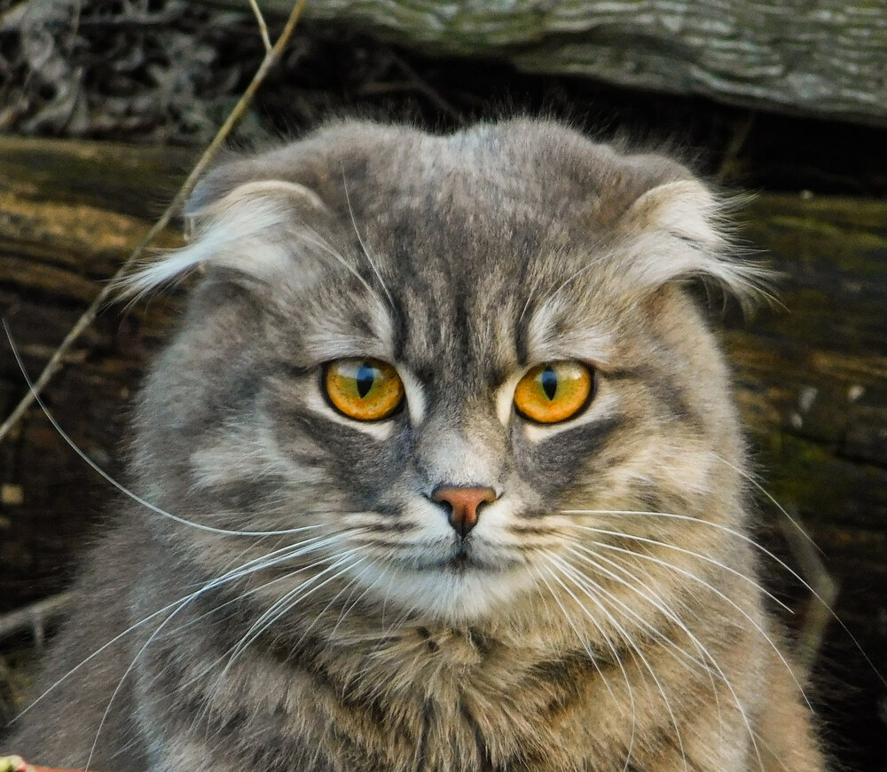 Photograph by Юлия Закопайло