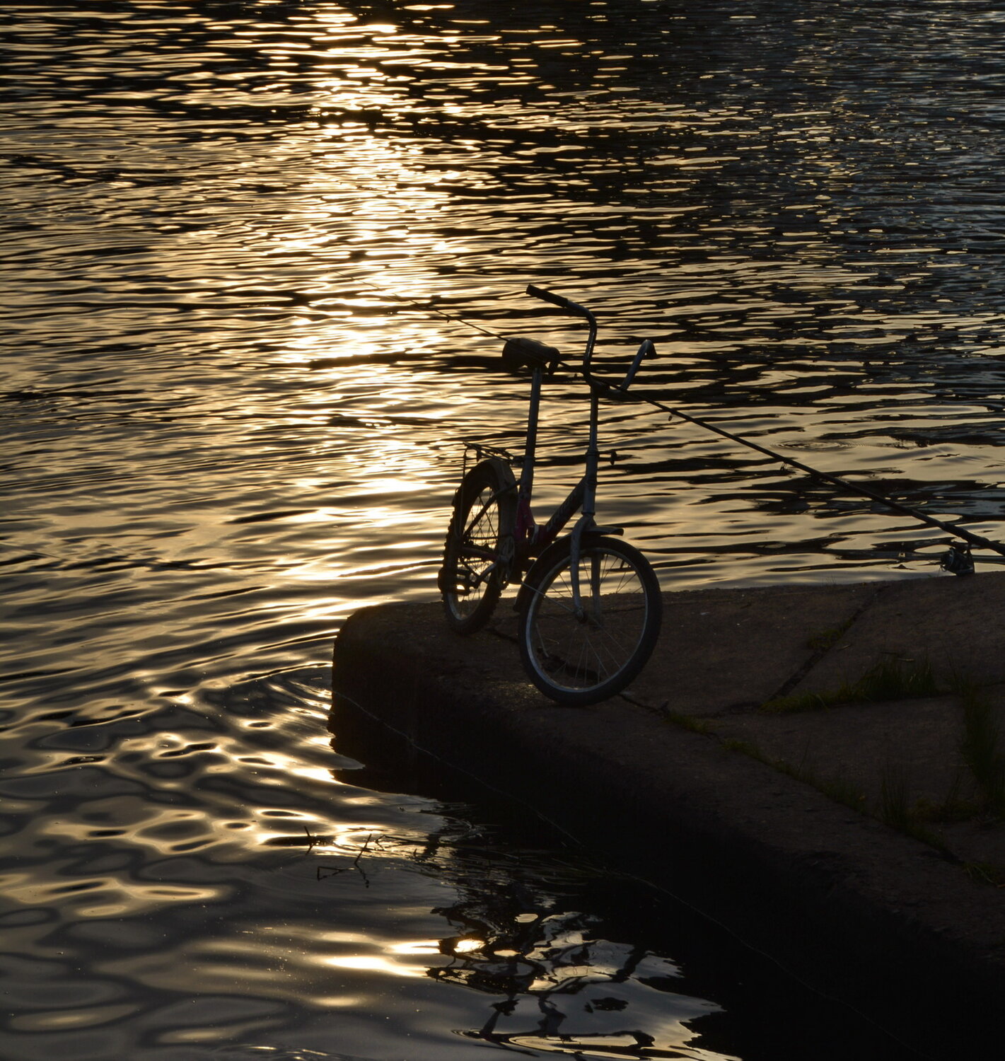 Photo #14038187
